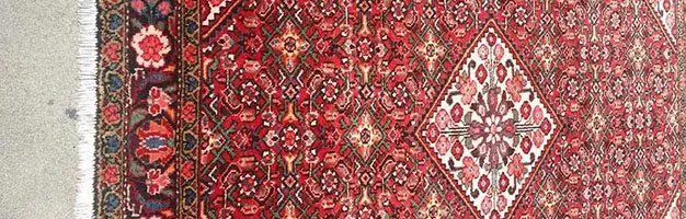 Oriental Rug